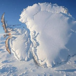 7 Fascinating Facts About the Map of Antarctica 🌍❄️